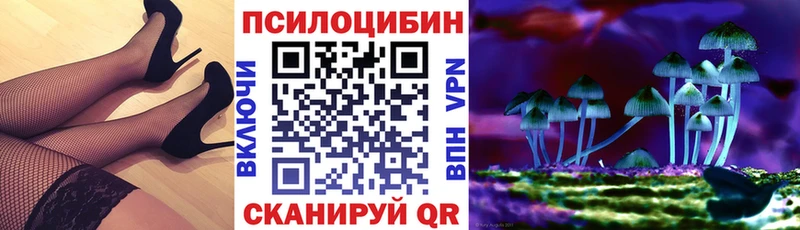 мега зеркало  Купино  Галлюциногенные грибы Psilocybe 