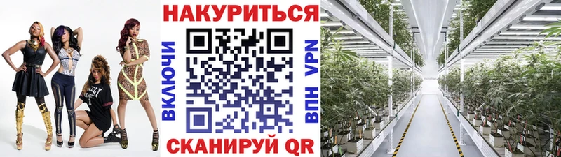 купить закладку  Купино  Марихуана OG Kush 